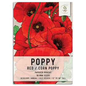 Seed Needs red poppy seeds offer vibrant blooms for a striking garden focal point.
