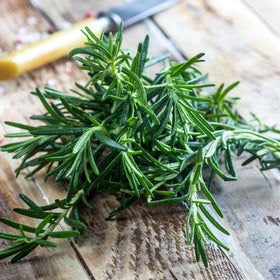 Moisture-resistant Seed Needs packaging preserving seed freshness