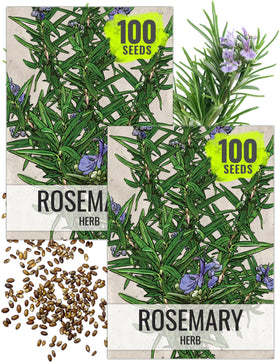 Seed Needs rosemary seeds packet front view for planting
