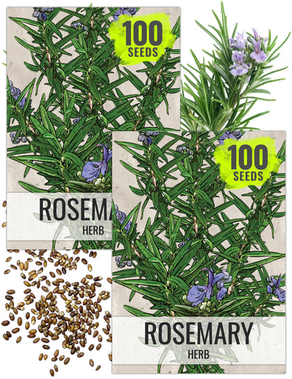 Seed Needs rosemary seeds packet front view for planting