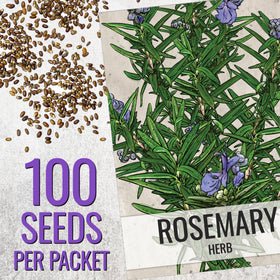 Seed Needs rosemary seeds being held for planning a herb garden