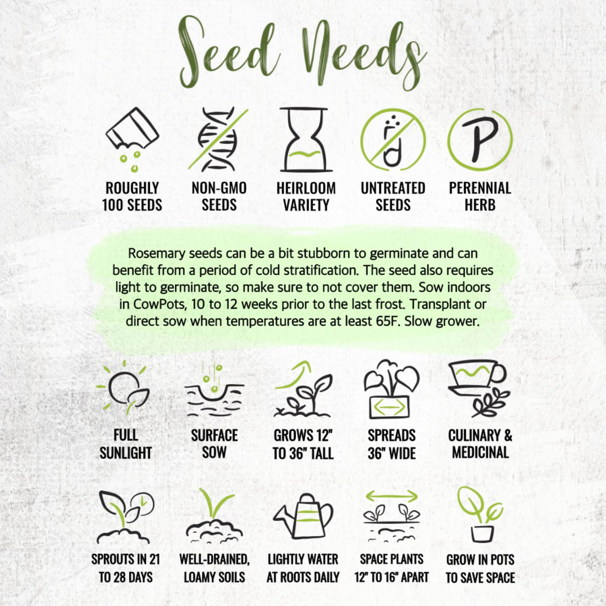 Two-pack rosemary seeds from Seed Needs for sharing or saving