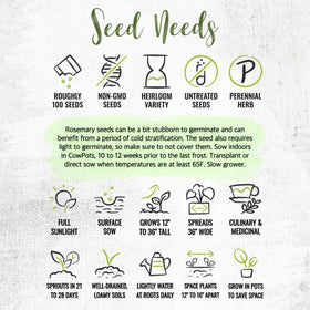 Two-pack rosemary seeds from Seed Needs for sharing or saving