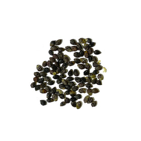 Seed Needs Royal Blue Passion Flower exotic petals add garden color.