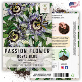 Seed Needs Royal Blue Passion Flower open-pollinated seeds with heirloom quality.