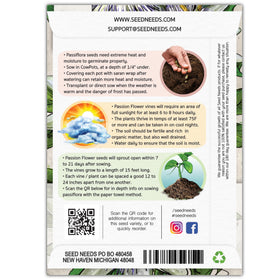 Seed Needs Royal Blue Passion Flower vine on trellis offering tropical coverage.