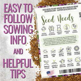 Seed Needs Royal Carpet Alyssum groundcover spreading in a rock garden