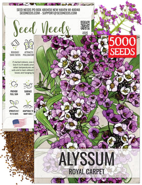 Seed Needs Royal Carpet Alyssum seed packet front for spring sowing