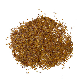 Seed Needs Royal Carpet Alyssum seed packet with sowing instructions