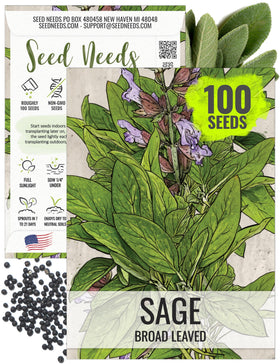 Seed Needs Sage Seeds broad-leaved packet front highlights heirloom, non-GMO quality for home gardens.