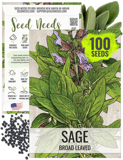 Seed Needs Sage Seeds broad-leaved packet front highlights heirloom, non-GMO quality for home gardens.