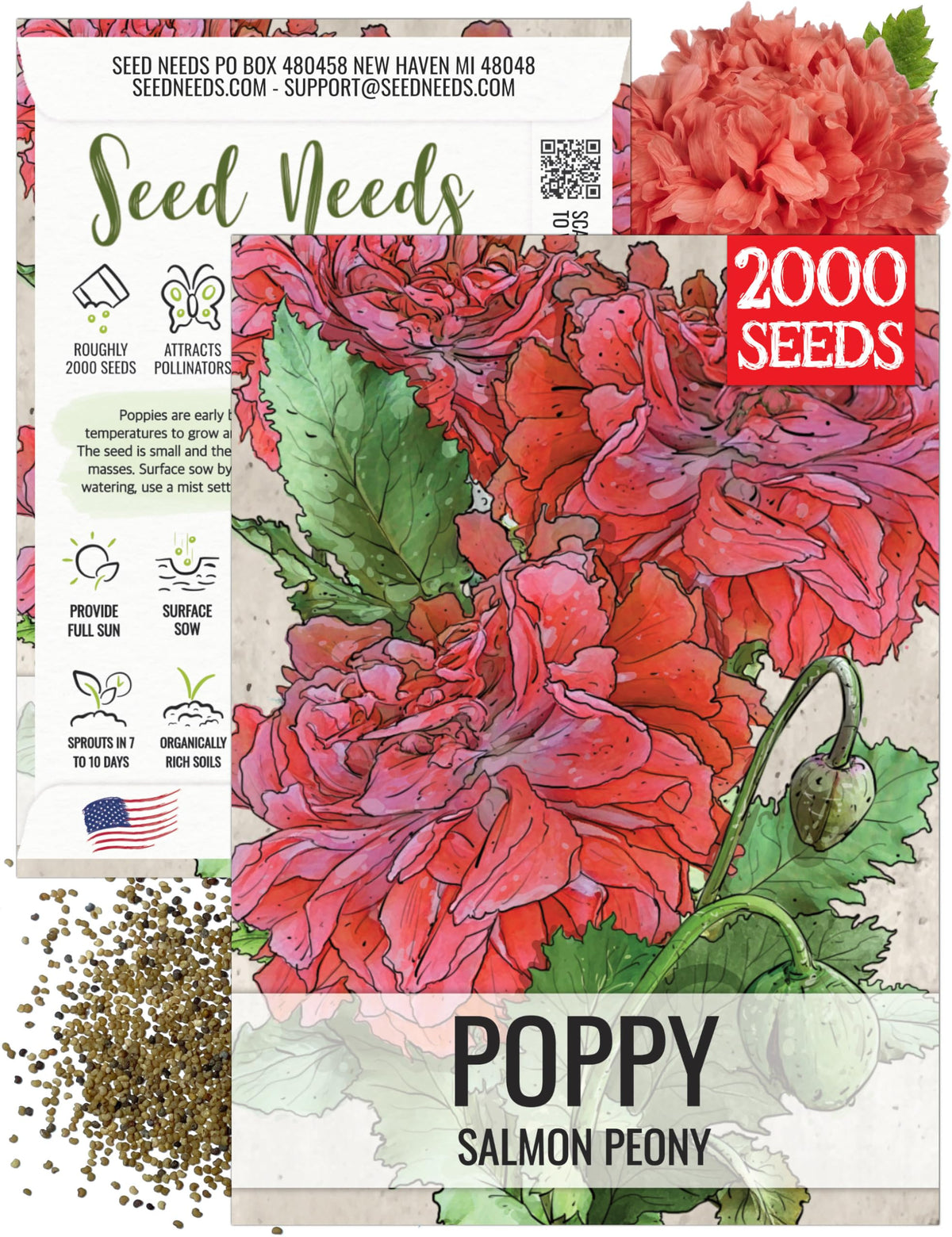 Seed Needs Salmon Peony Poppy bloom in a sunlit bed attracts butterflies