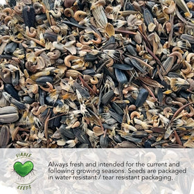 Seed Needs Salmon Peony Poppy seeds sown in soil for spring color