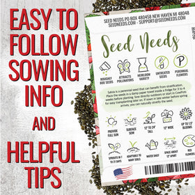 Seed Needs Scarlet Red Sage container planting illustrates versatile display