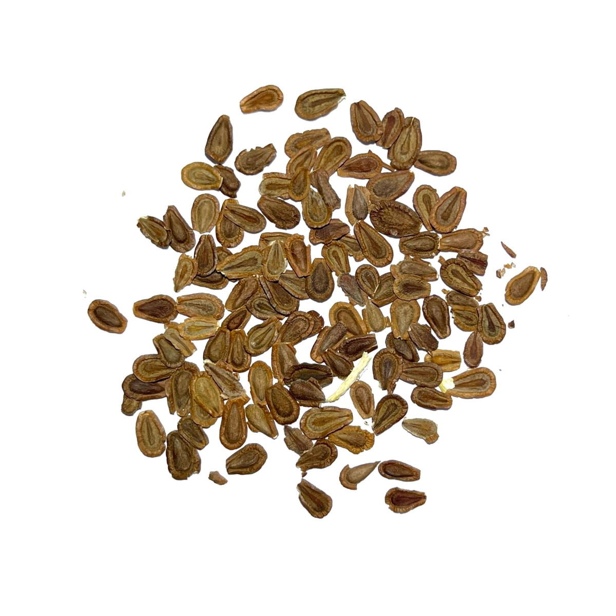 Seed Needs seed packet art and details for planting