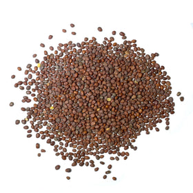 Seed Needs seed packet front providing sowing information and care tips.