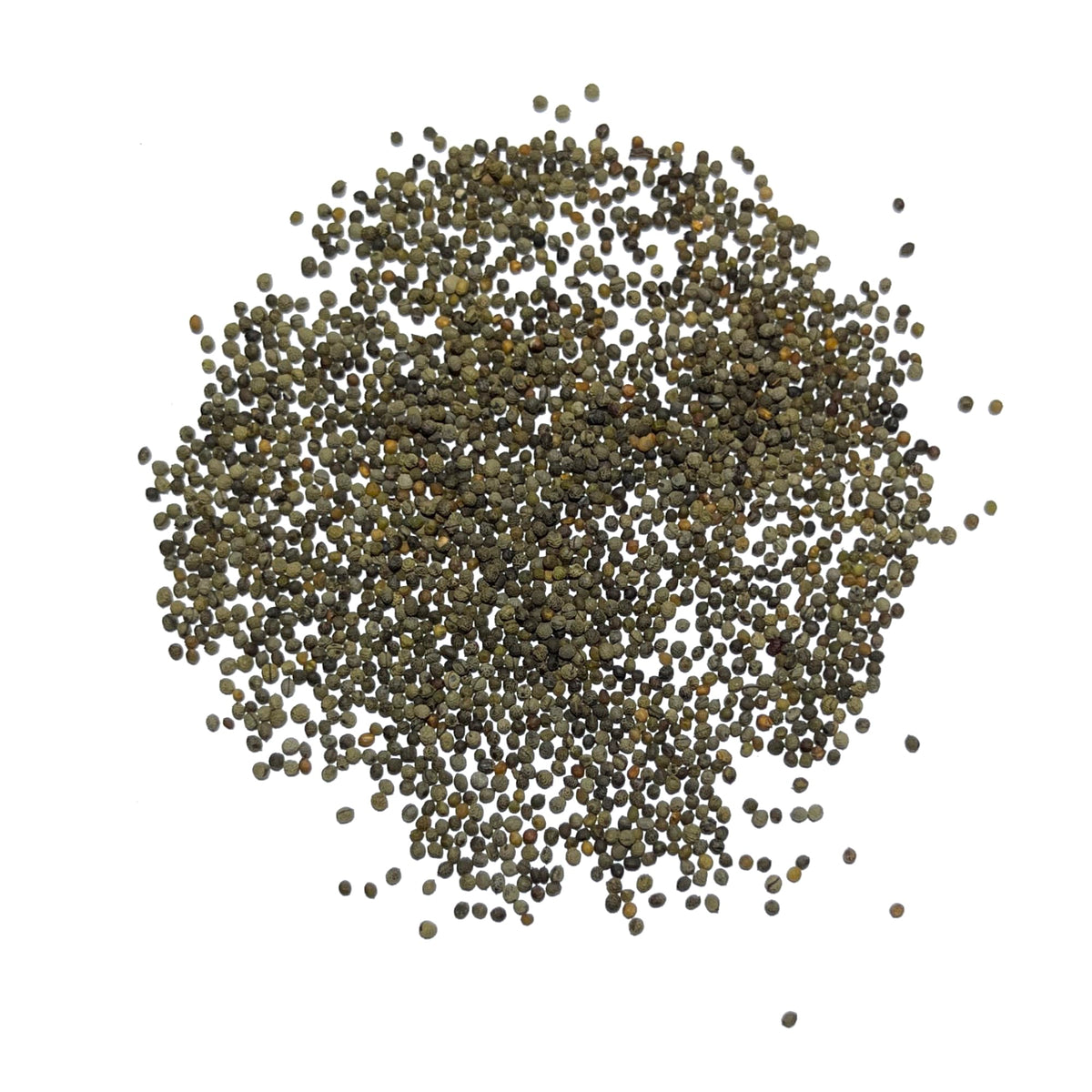 Seed Needs seed packet with illustration and care tips for successful sowing.