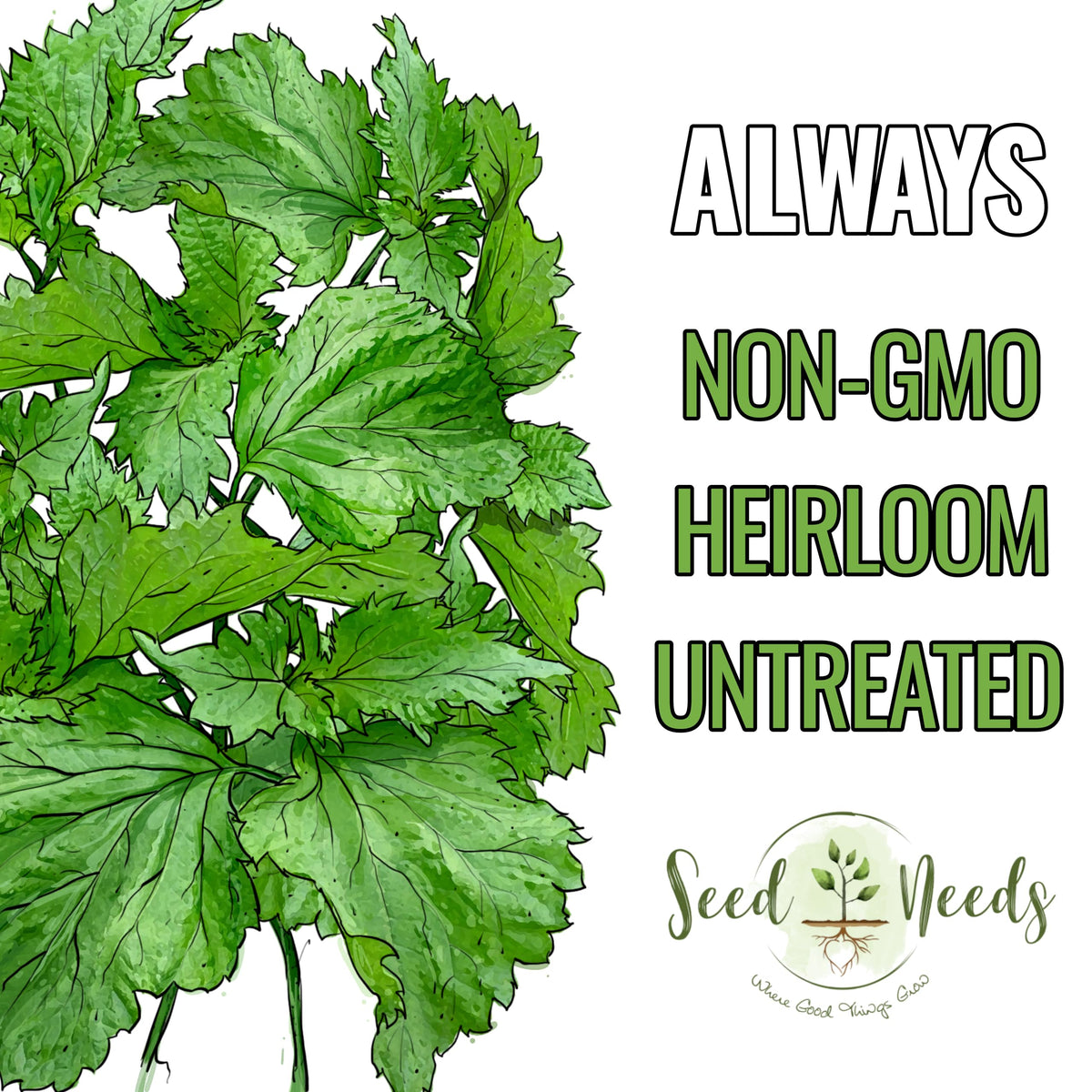 Seed Needs Shiso seeds thriving in a container for balcony herbs