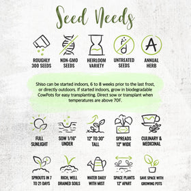 Seed Needs Shiso seeds garden ambience image suggests versatile culinary use