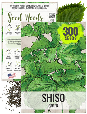 Seed Needs Shiso seeds germinating in green perilla leaves for fresh cooking
