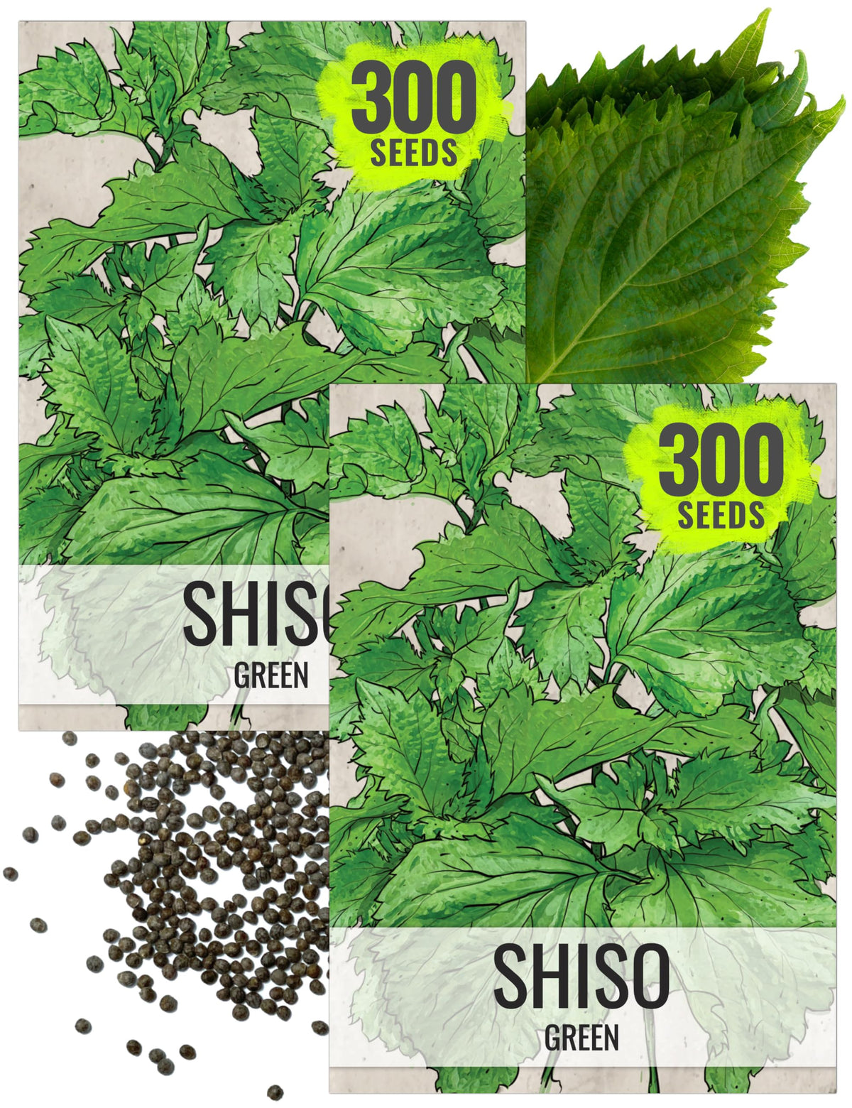 Seed Needs Shiso seeds packaging, non-GMO heirloom for convenient culinary gardening.
