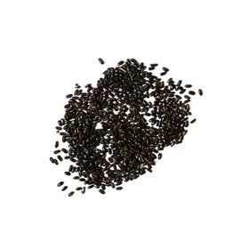 Seed Needs Spike Lavender Seeds close-up of budding spikes with blooms.