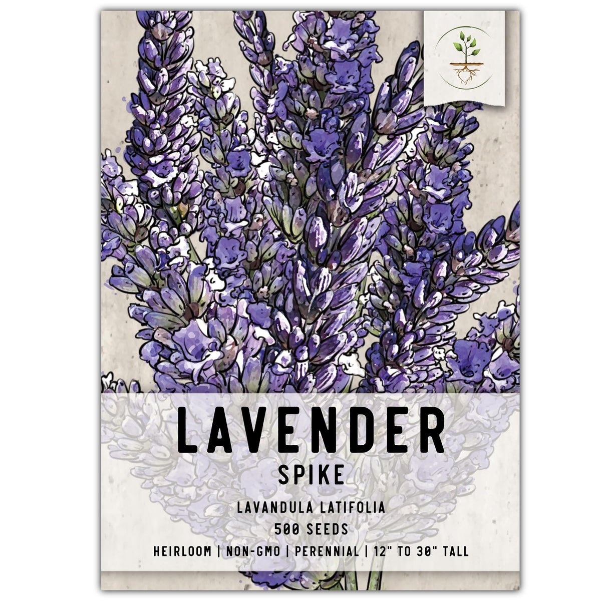 Seed Needs Spike Lavender Seeds pack ready for sowing in a sunny border.