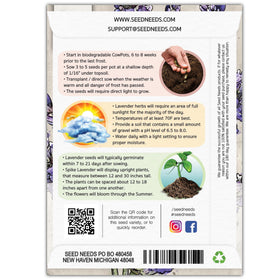 Seed Needs Spike Lavender Seeds planted in a garden bed to enhance fragrance.