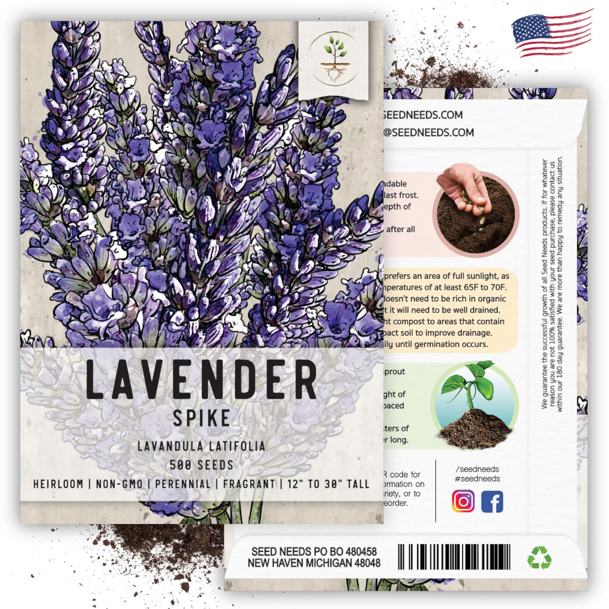 Seed Needs Spike Lavender Seeds in a pollinator garden attracting bees.