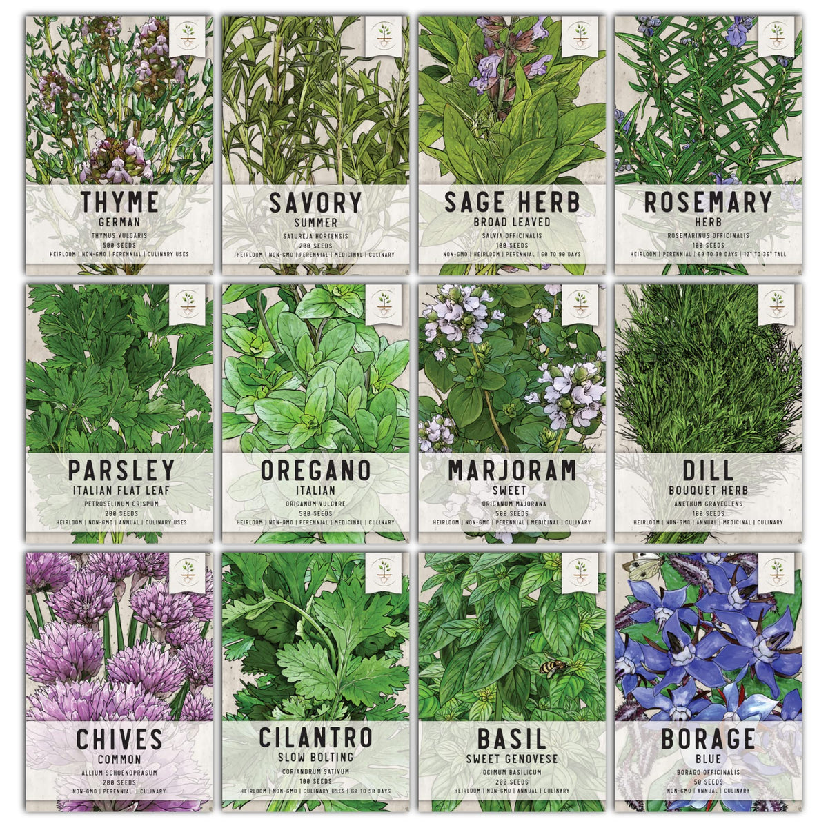 Seed Needs starter pots bundle shown ready for classroom or home herb starts.