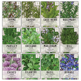 Seed Needs starter pots bundle shown ready for classroom or home herb starts.