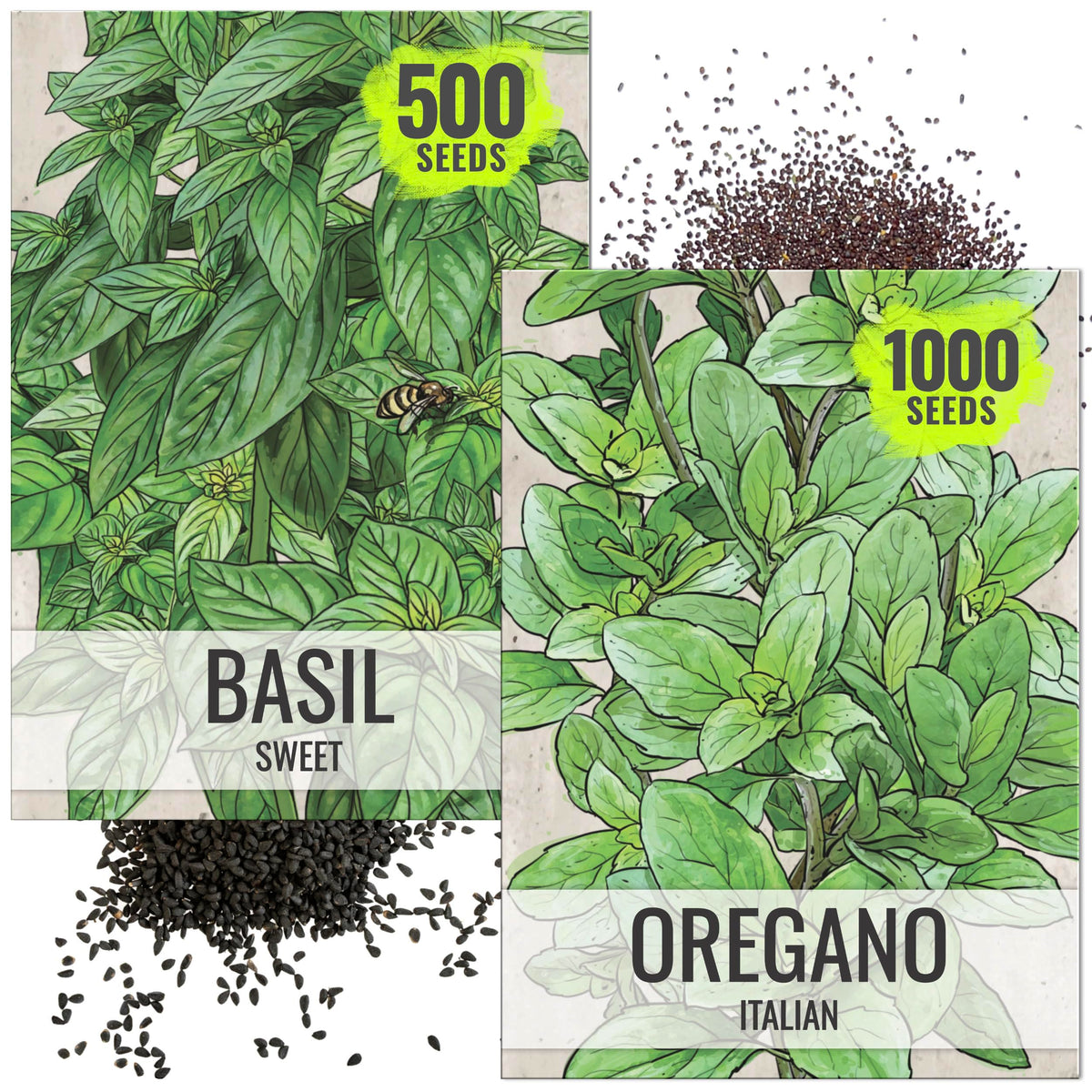 Seed Needs sweet basil seeds packet with basil leaf close-up for fresh kitchen herbs.