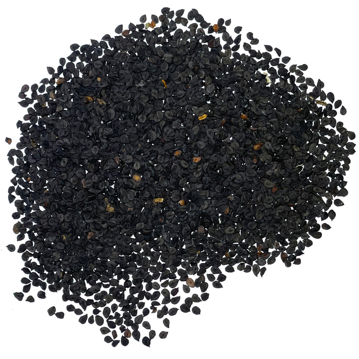 Seed Needs Sweet William seeds packaging shows sowing instructions and freshness.