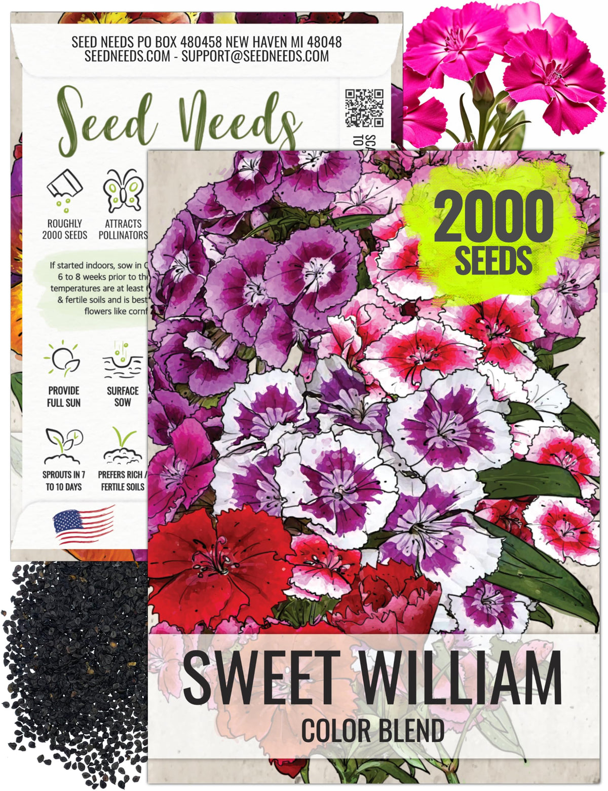 Seed Needs Sweet William seeds pink cluster close-up, attracts bees and butterflies in borders.