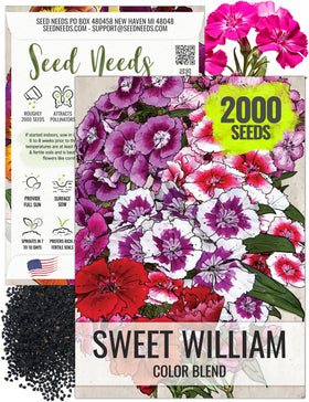 Seed Needs Sweet William seeds pink cluster close-up, attracts bees and butterflies in borders.
