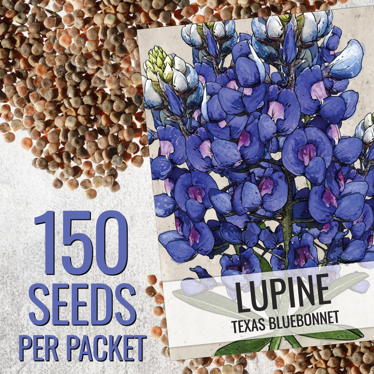 Seed Needs seed packet illustration with sowing directions for bluebonnets.