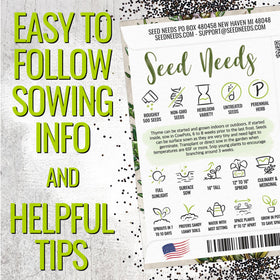 Seed Needs thyme flowers close-up display white-to-pink blooms.