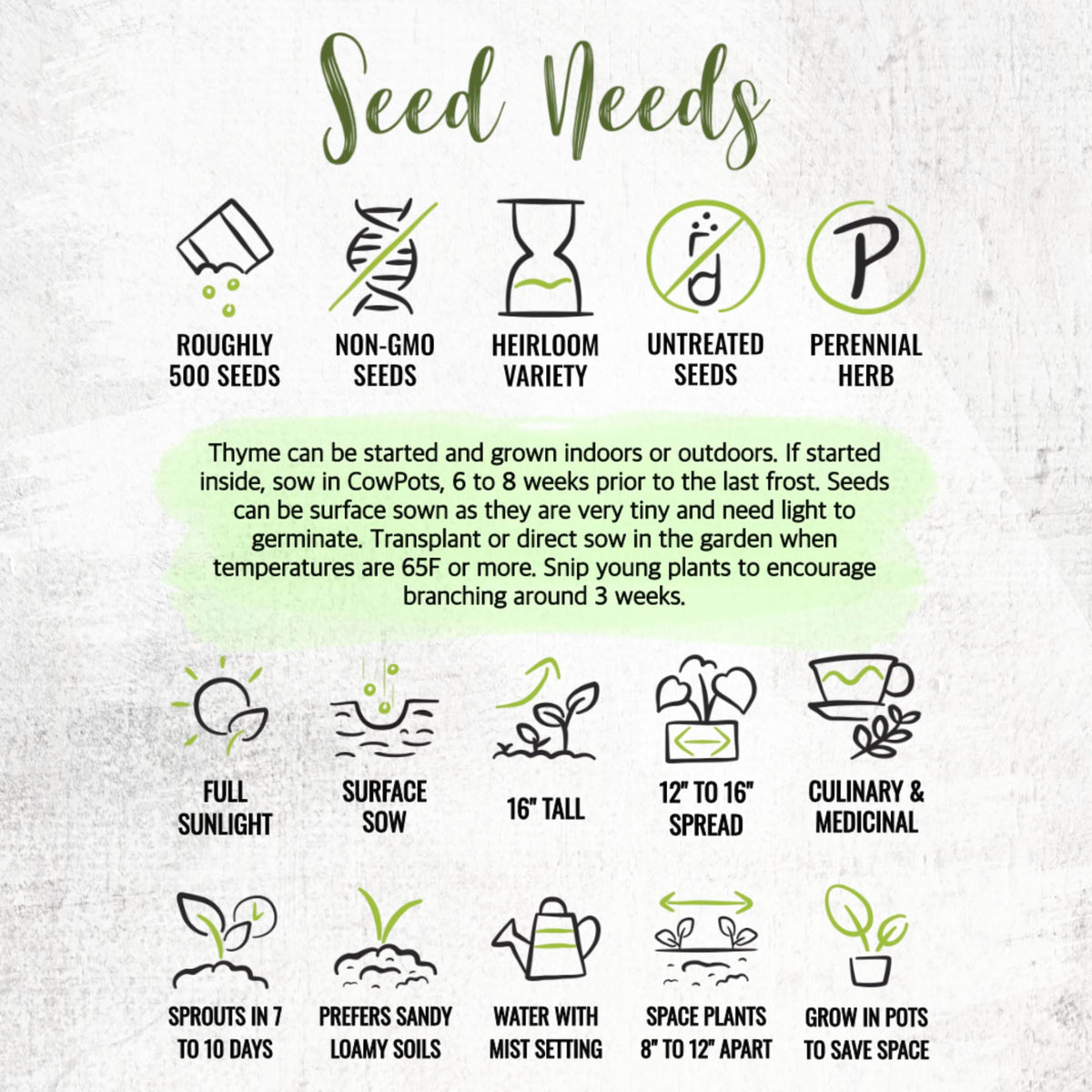Seed Needs heirloom, non-GMO thyme seeds for home planting.