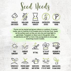 Seed Needs heirloom, non-GMO thyme seeds for home planting.