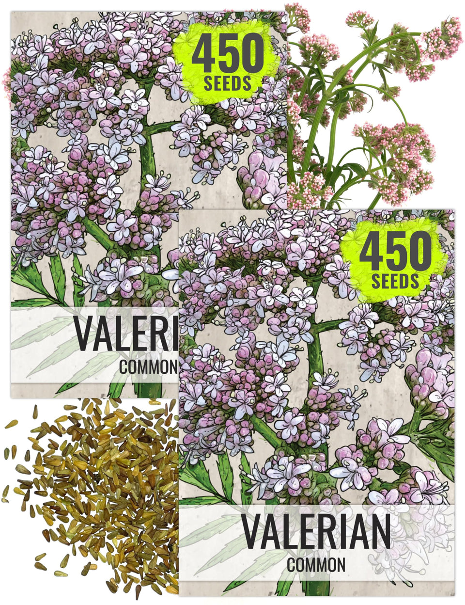 Seed Needs Valerian seeds packaging with sowing tips for a thriving starter garden