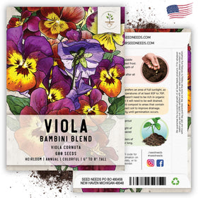 Seed Needs viola pollinator garden ready image suggests bees visiting blooms.