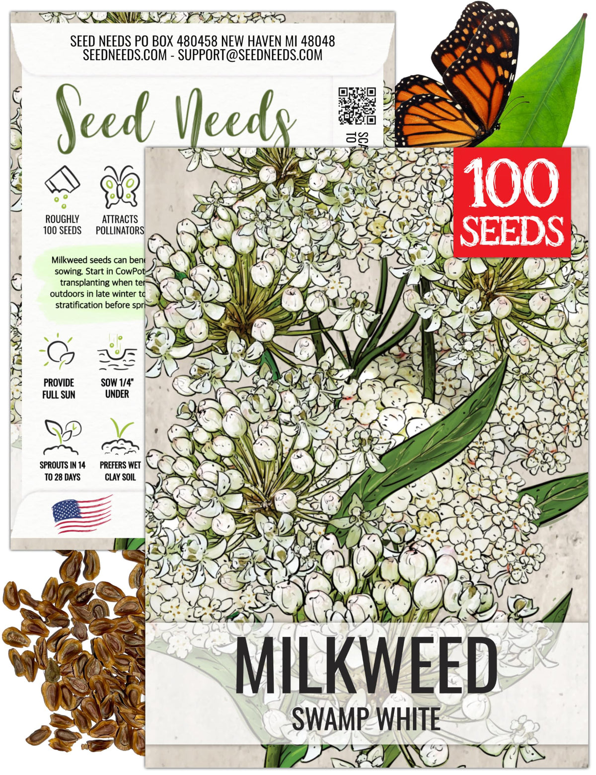 Seed Needs Milkweed Seeds: white swamp milkweed bloom closeup attracting pollinators.