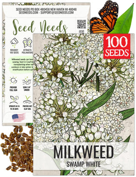 Seed Needs Milkweed Seeds: white swamp milkweed bloom closeup attracting pollinators.