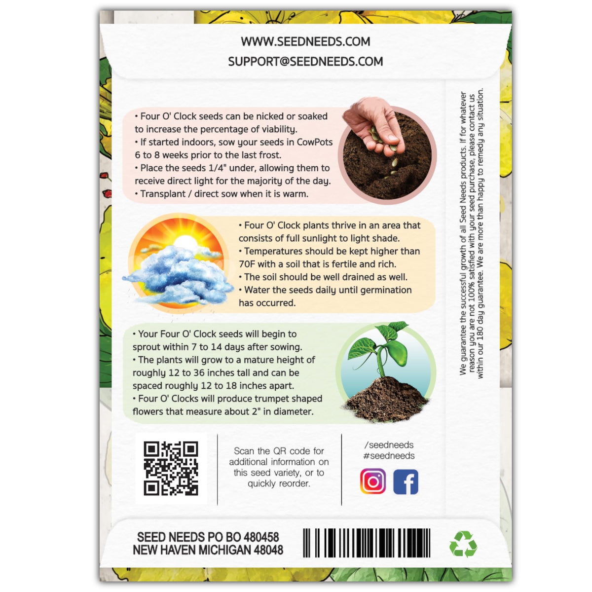 Seed Needs Yellow Four Clock seed packet back detailing sowing instructions