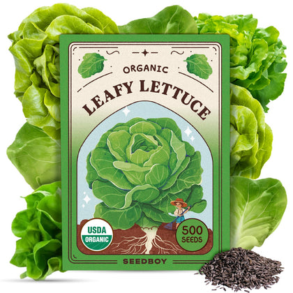 Seedboy Buttercrunch lettuce seeds packet for versatile indoor outdoor gardening