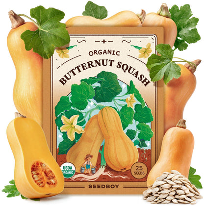 Seedboy butternut squash seeds pack for planting and a bountiful harvest.