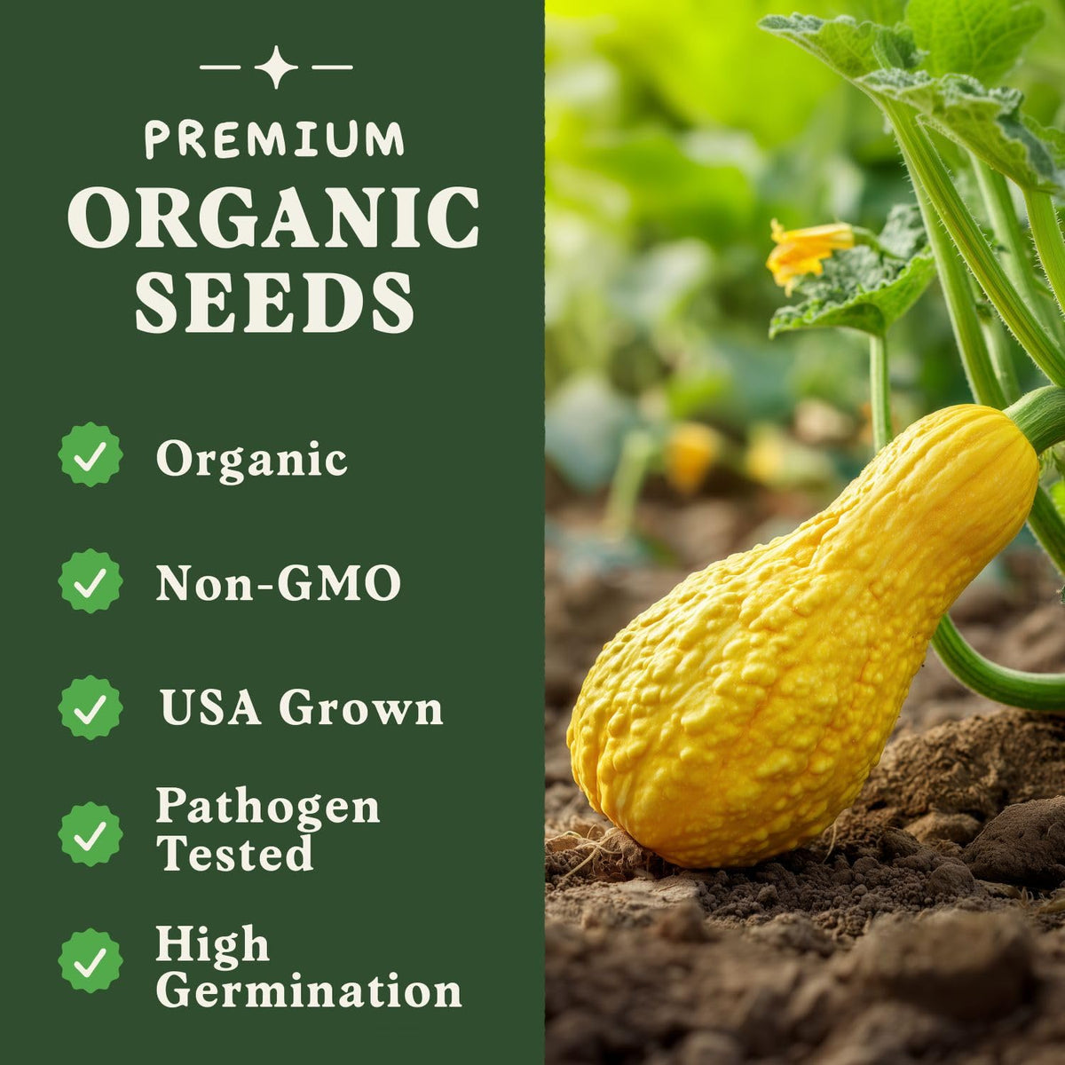 Seedboy Germination Promise icon indicating seed replacement policy
