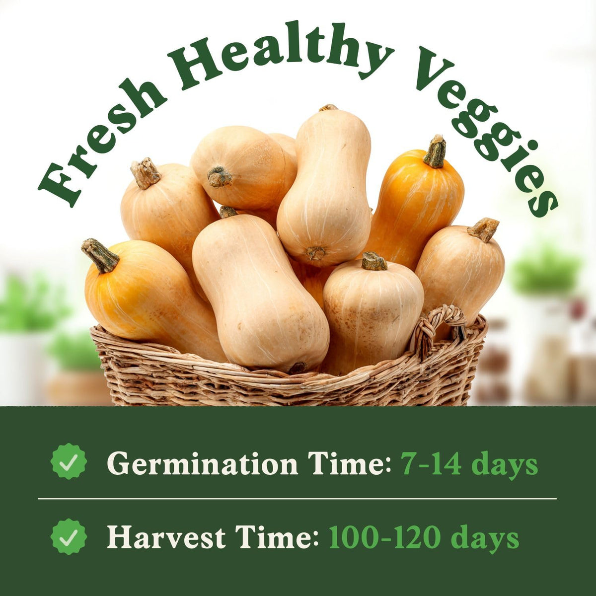 Seedboy germination promise with replacement seeds for reliable sprouting.