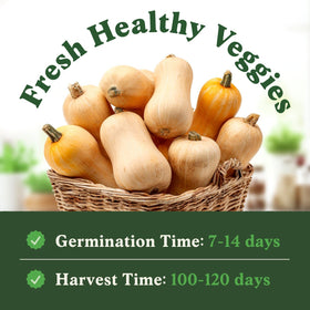 Seedboy germination promise with replacement seeds for reliable sprouting.