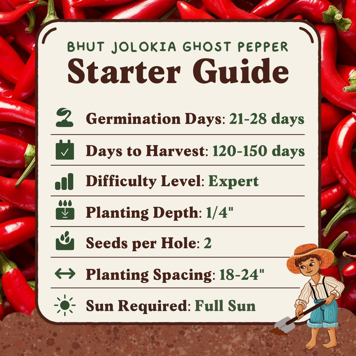 Seedboy Ghost Pepper dish idea for spicy meals.